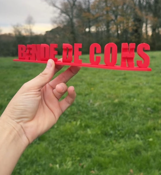 Je vous aime bande de cons !