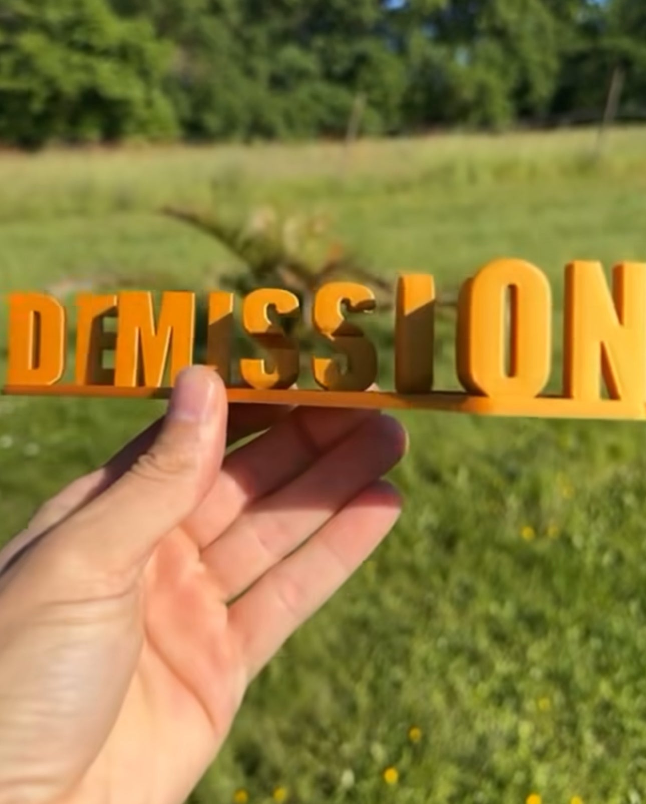 Macron démission