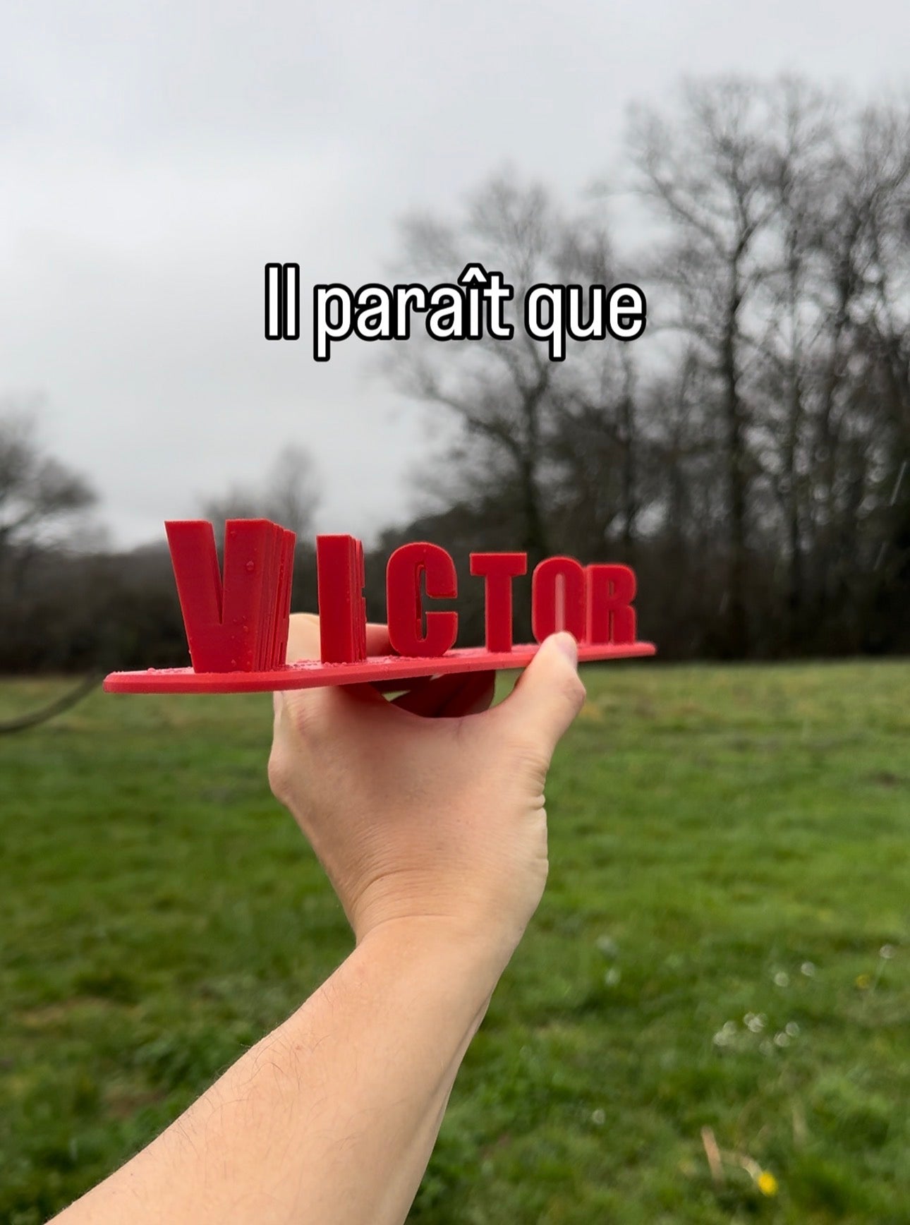 Fichier STL — victor mange ses morts