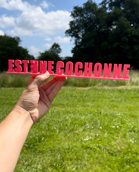 Fichier STL — lea est une cochonne v1