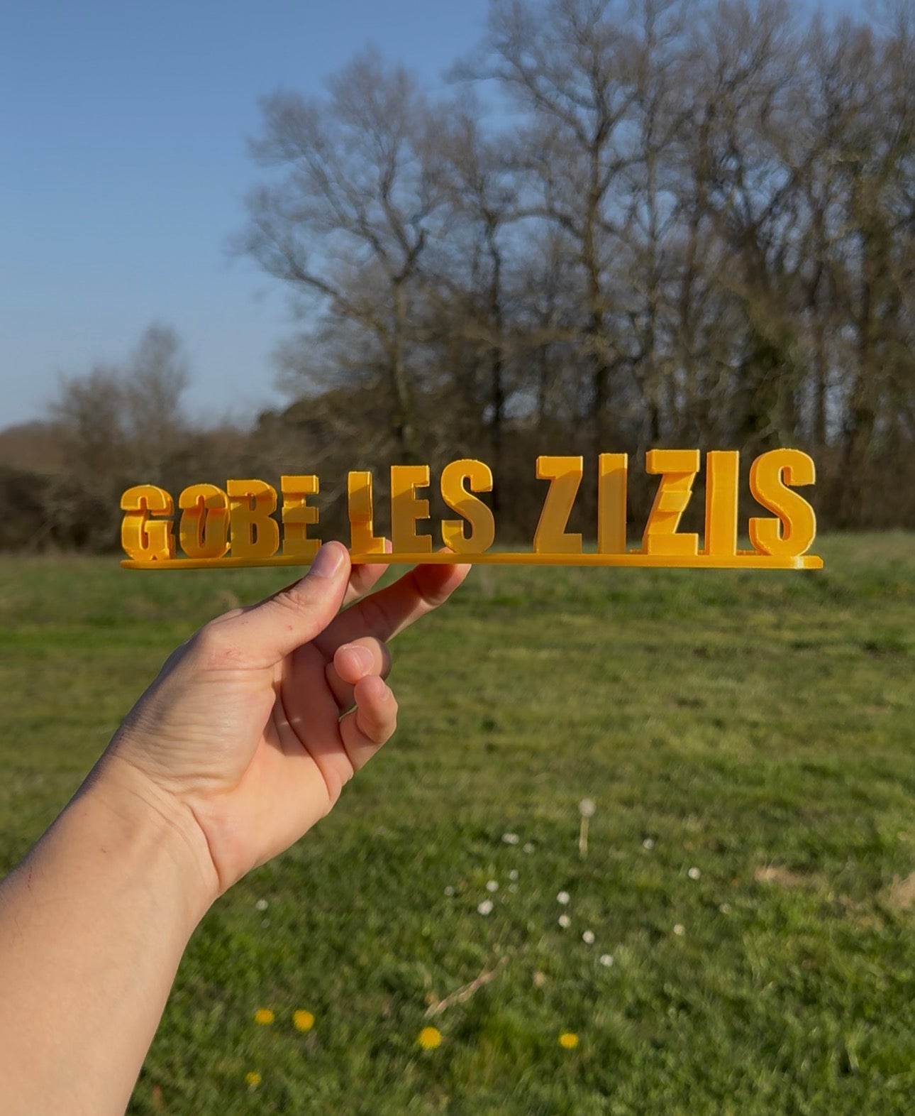 Stéphanie Gobe les zizis
