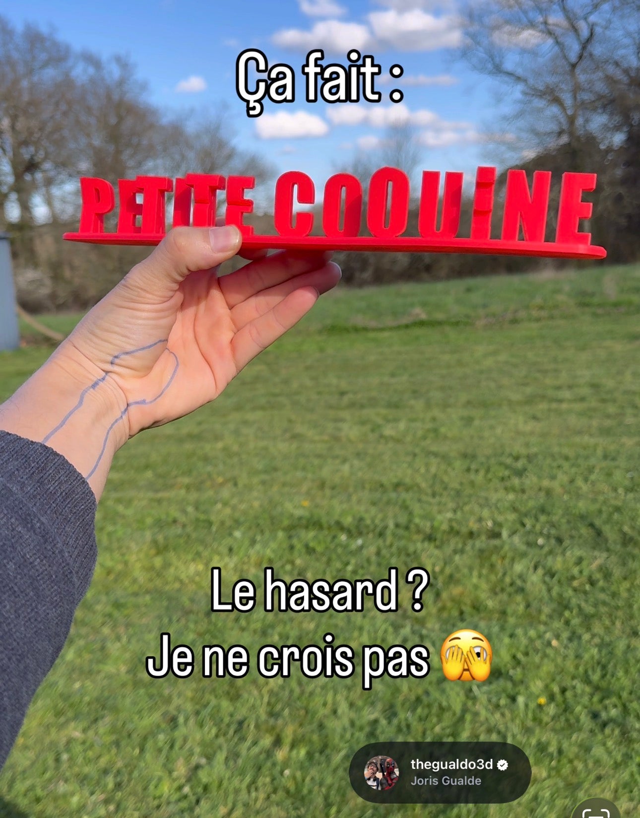 Fichier STL — karine petite coquine