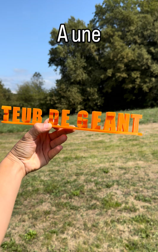 Clément Teub de Géant ✅