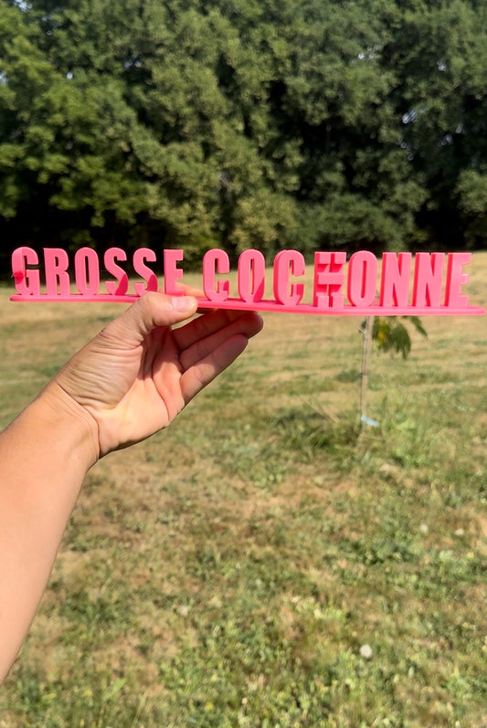 Pauline grosse cochonne 🐷