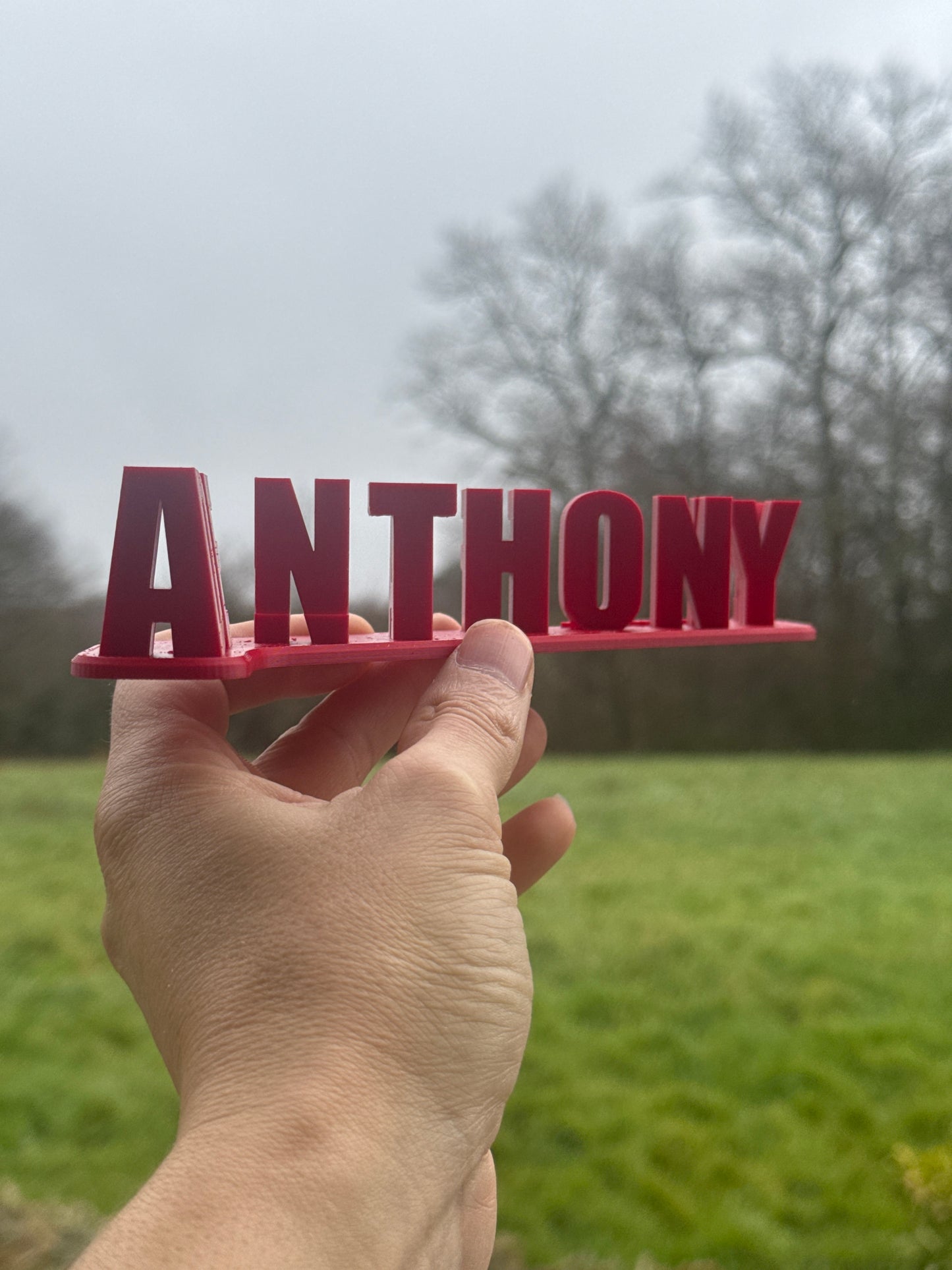 Anthony déjà fini ? ✨