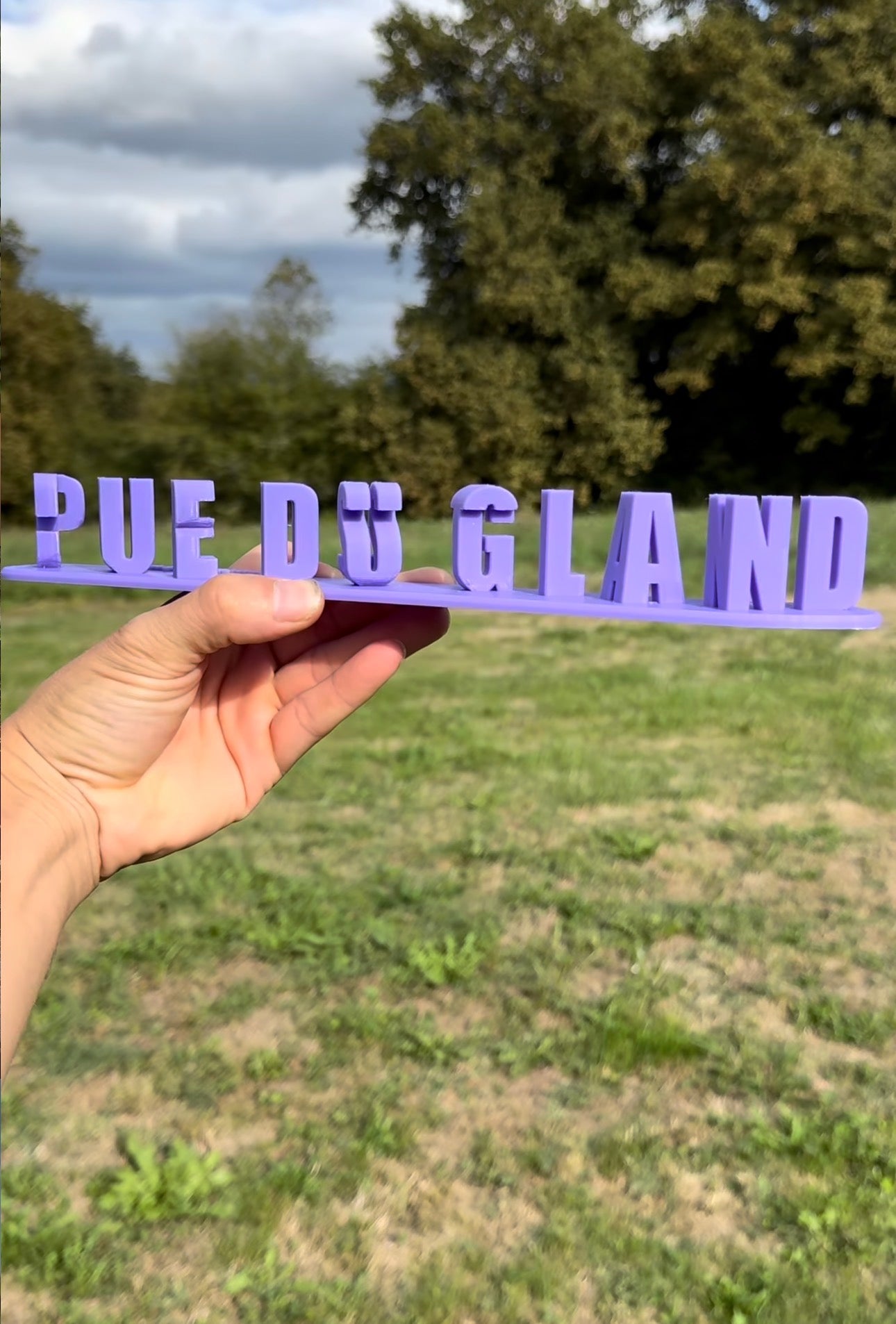 Fichier STL — christian pue du gland v1