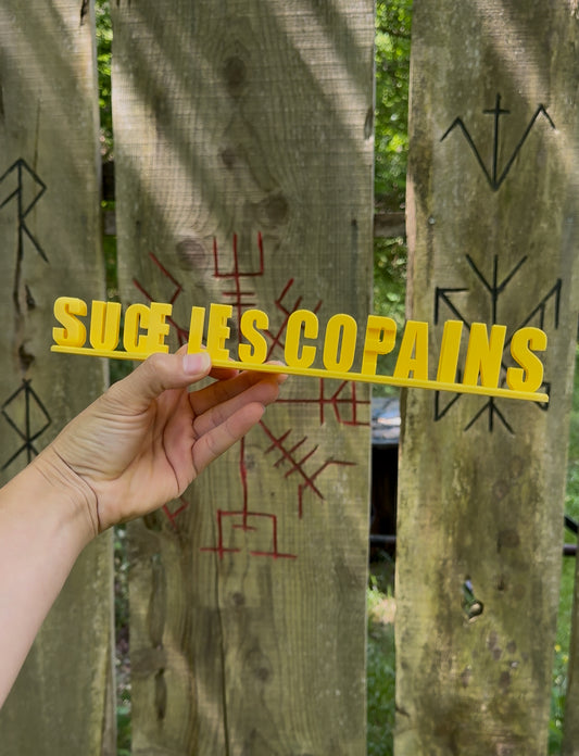 Fichier STL — damien suce les copains v0
