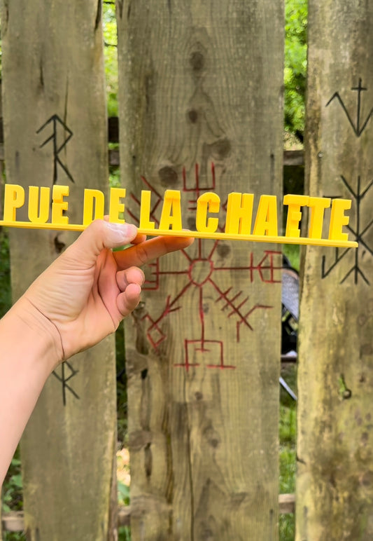 Fichier STL — agathe pue de la chatte v1