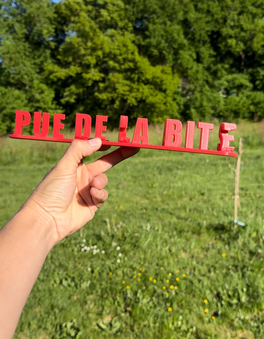 Lucas Pue de la B *te 🤢