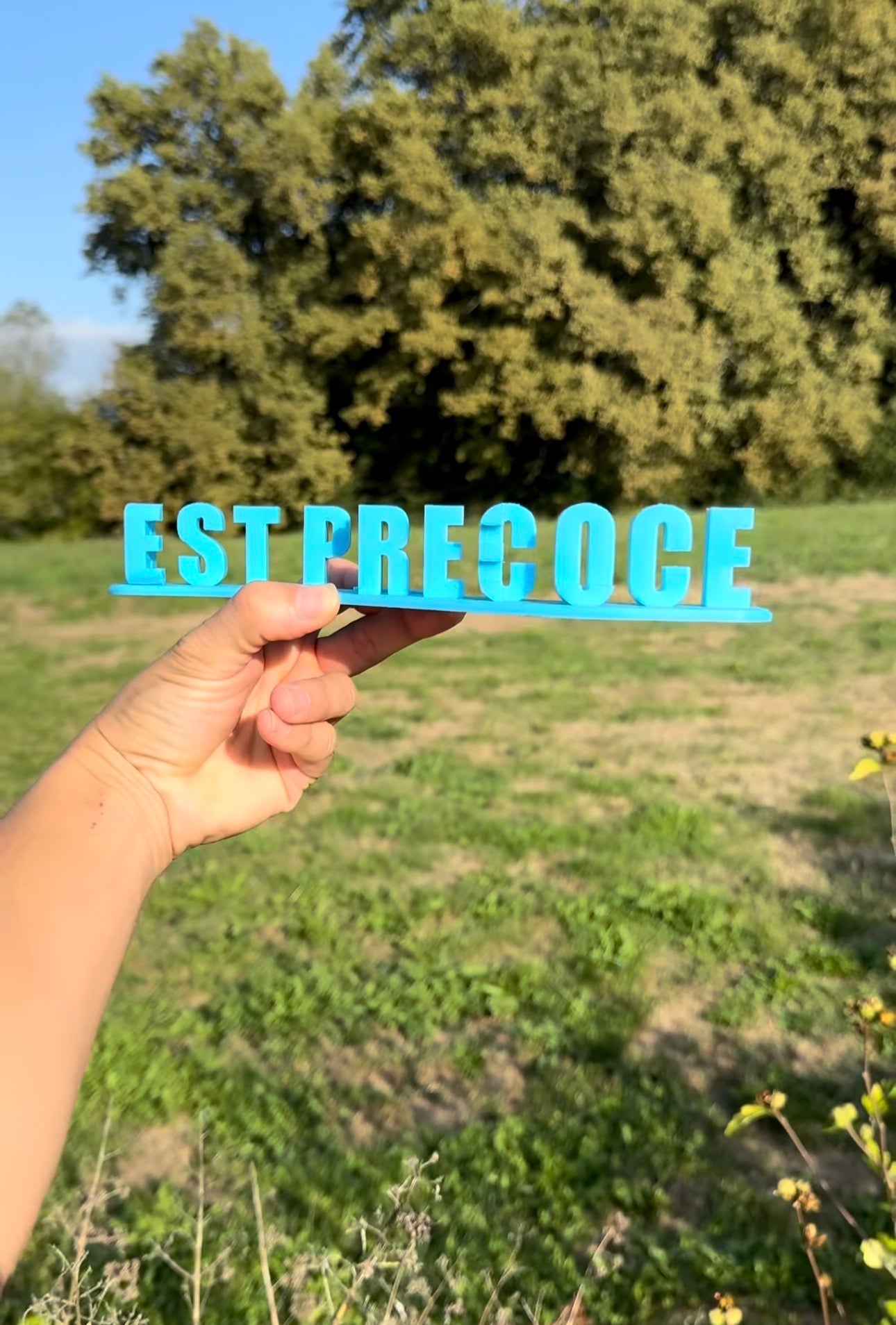 Fichier STL — daniel est precoce v1