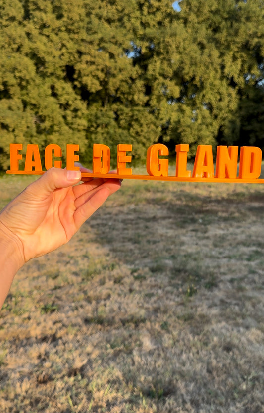 Vincent face de gland