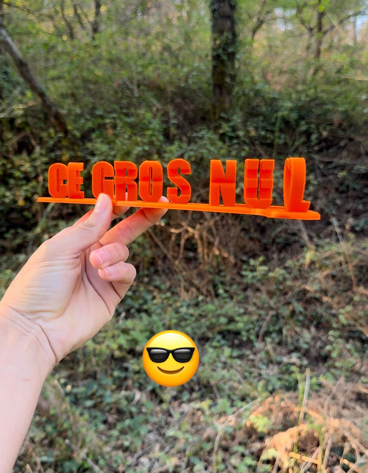 Mon frère ce gros nul 😎
