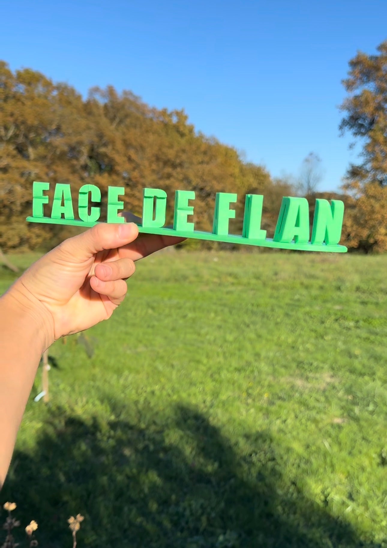 Fichier STL — bertrand face de flan v1