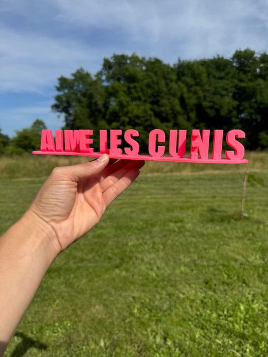 Fichier STL — julie aime les cunis v1