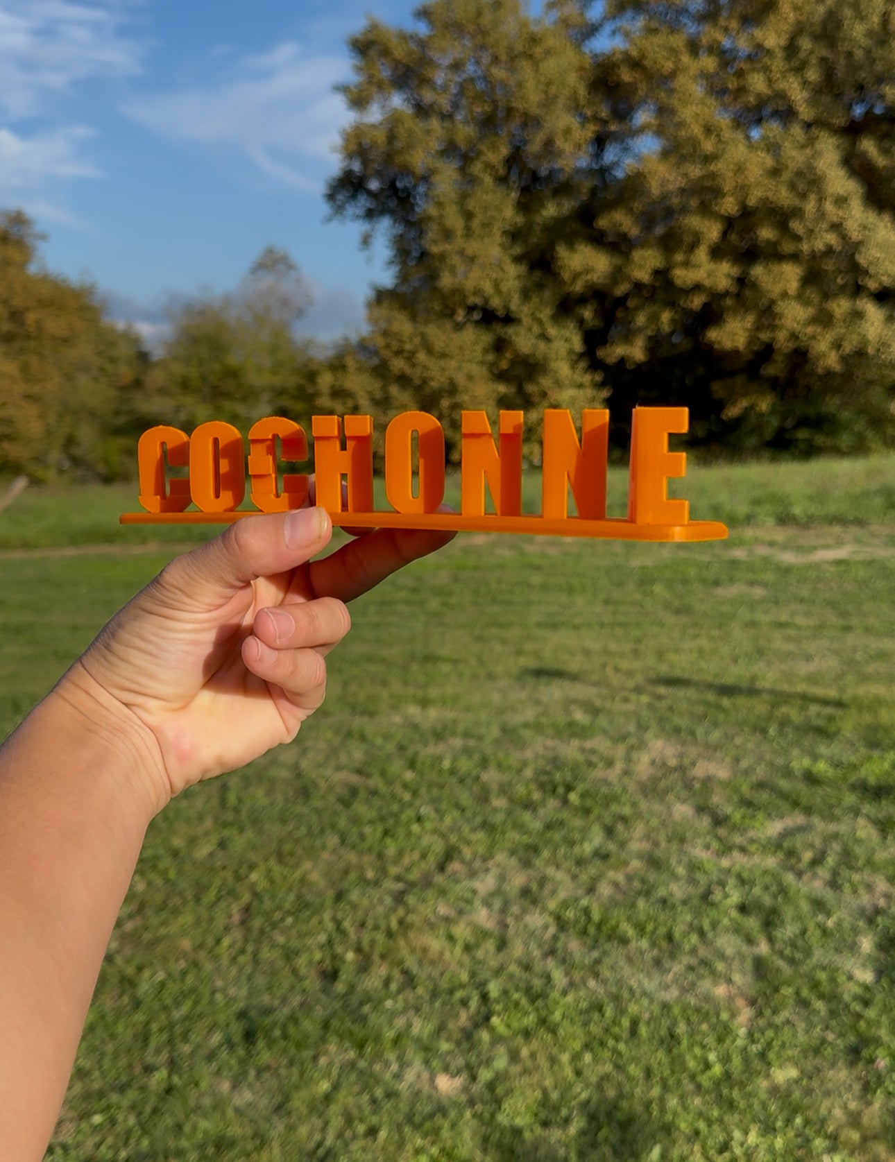 Laetitia Cochonne đ·