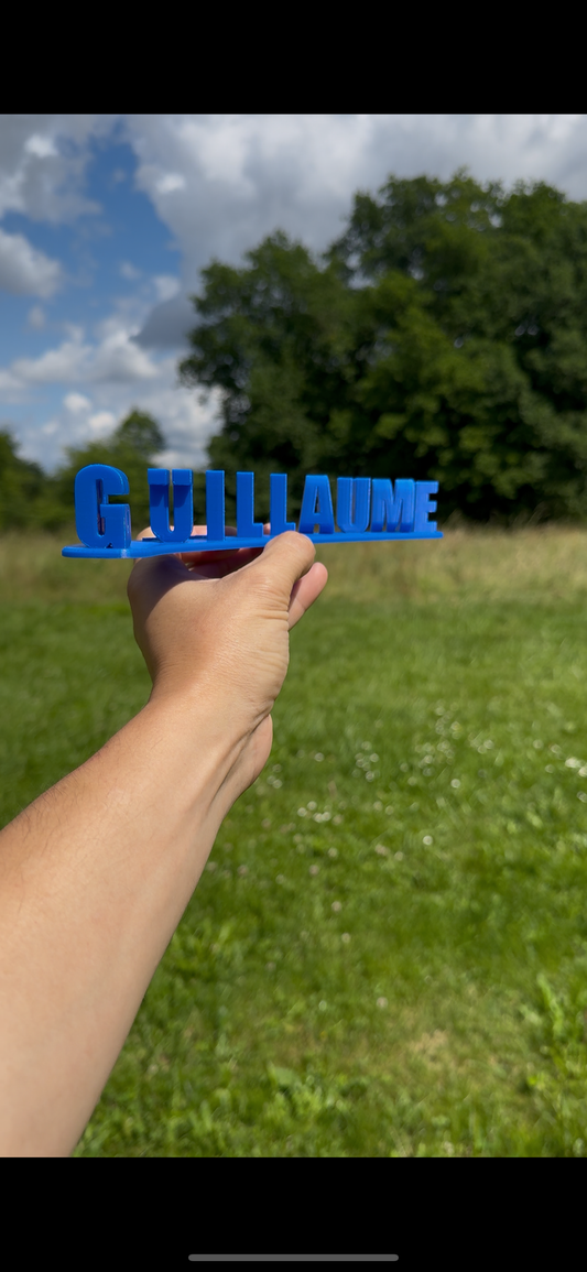 Guillaume B*te de gnome