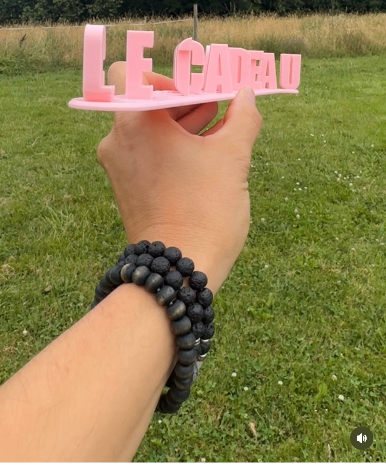 Le cadeau câest ma đœ