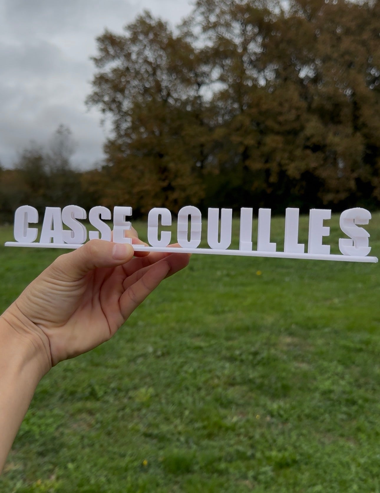 Aurélie Casse couilles