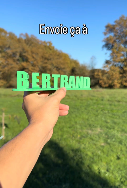 Fichier STL — bertrand face de flan v1