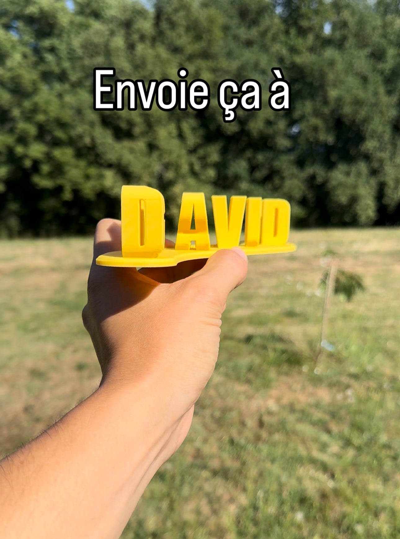 David Gras du bide
