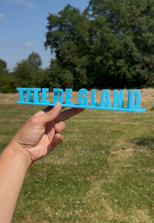 Fichier STL — nathan tete de gland v1