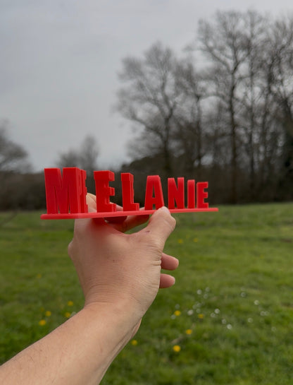 Fichier STL — melanie petite cochonne