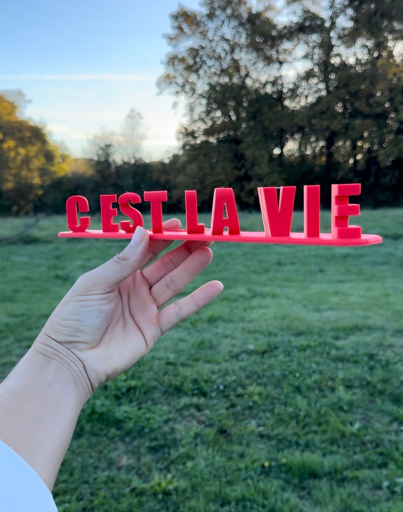 La Sod0mie c’est la vie !