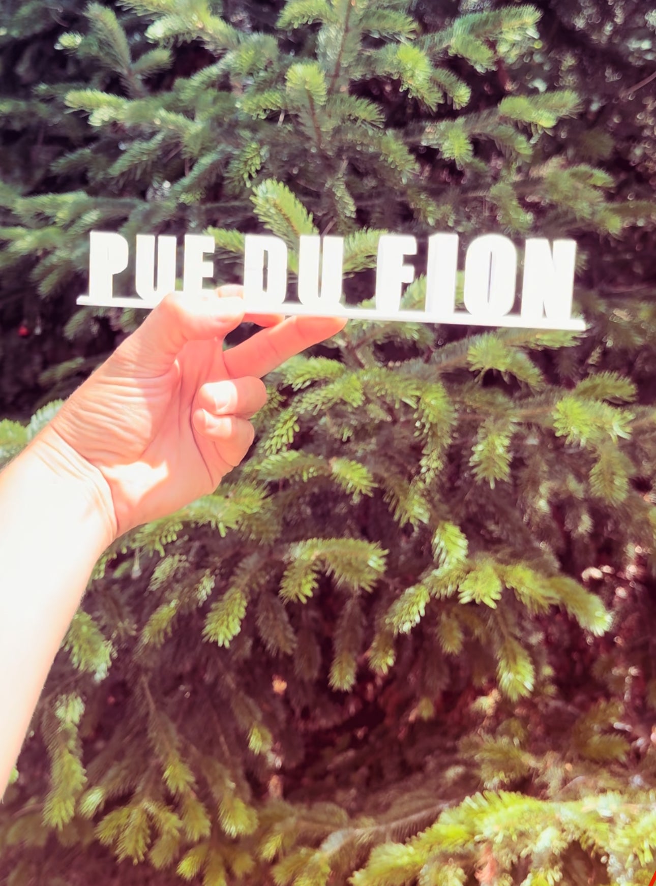 Marion pue du fion