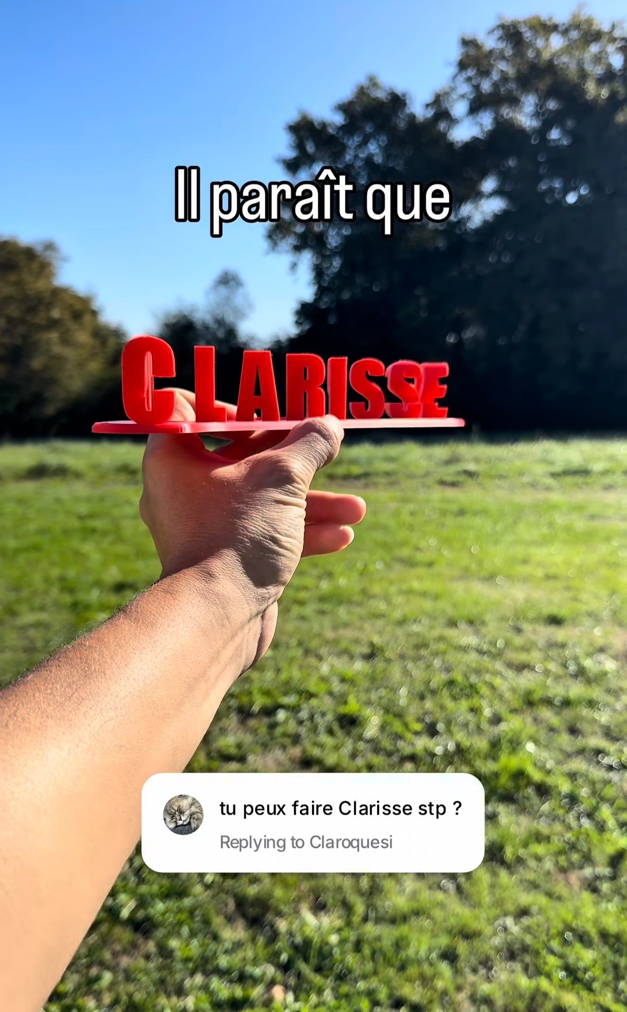 Fichier STL — clarisse pue la pisse v2