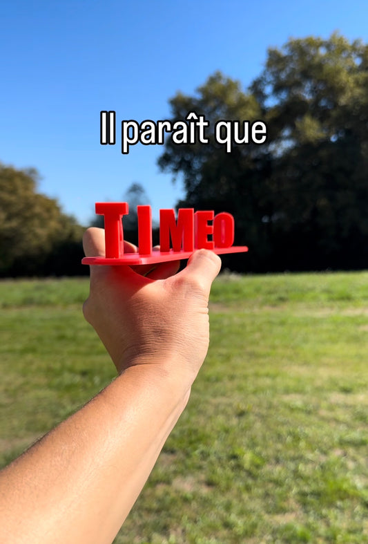 Fichier STL — timeo est trop beau v1