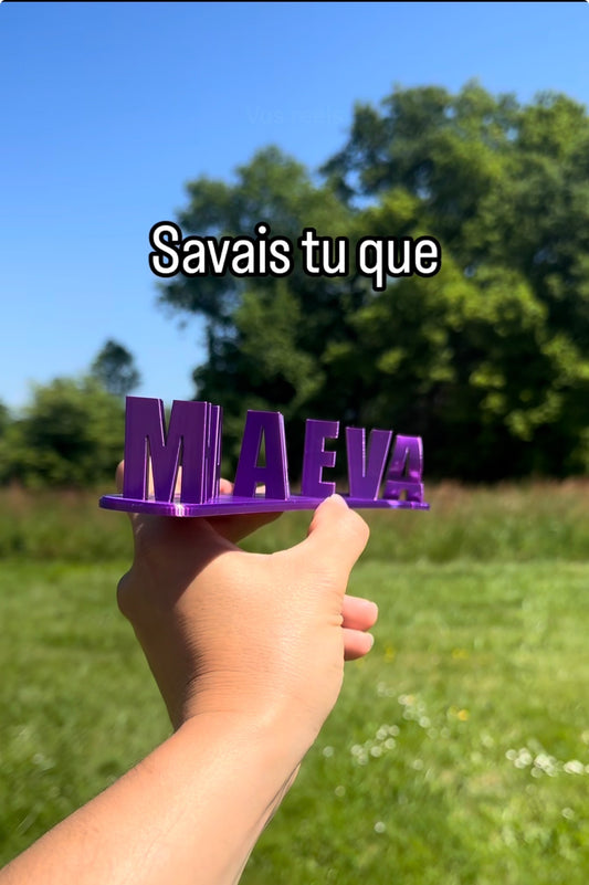 Fichier STL — maeva n avale pas v1