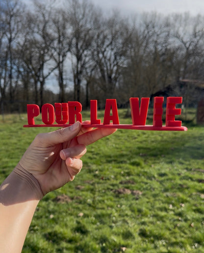 Je t’aime pour la vie ❤️