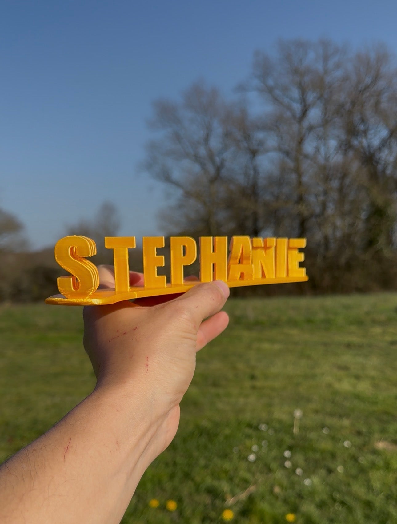 Stéphanie Gobe les zizis