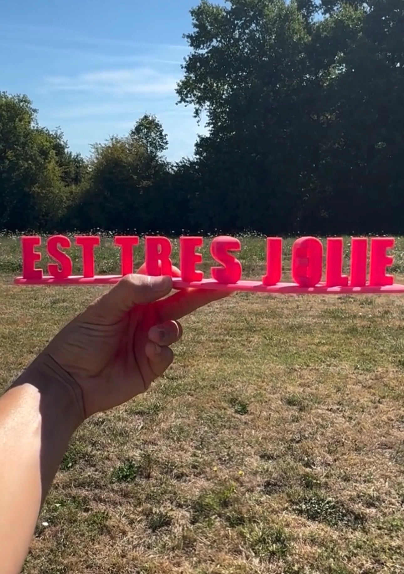 Fichier STL — laurie est tres jolie v1