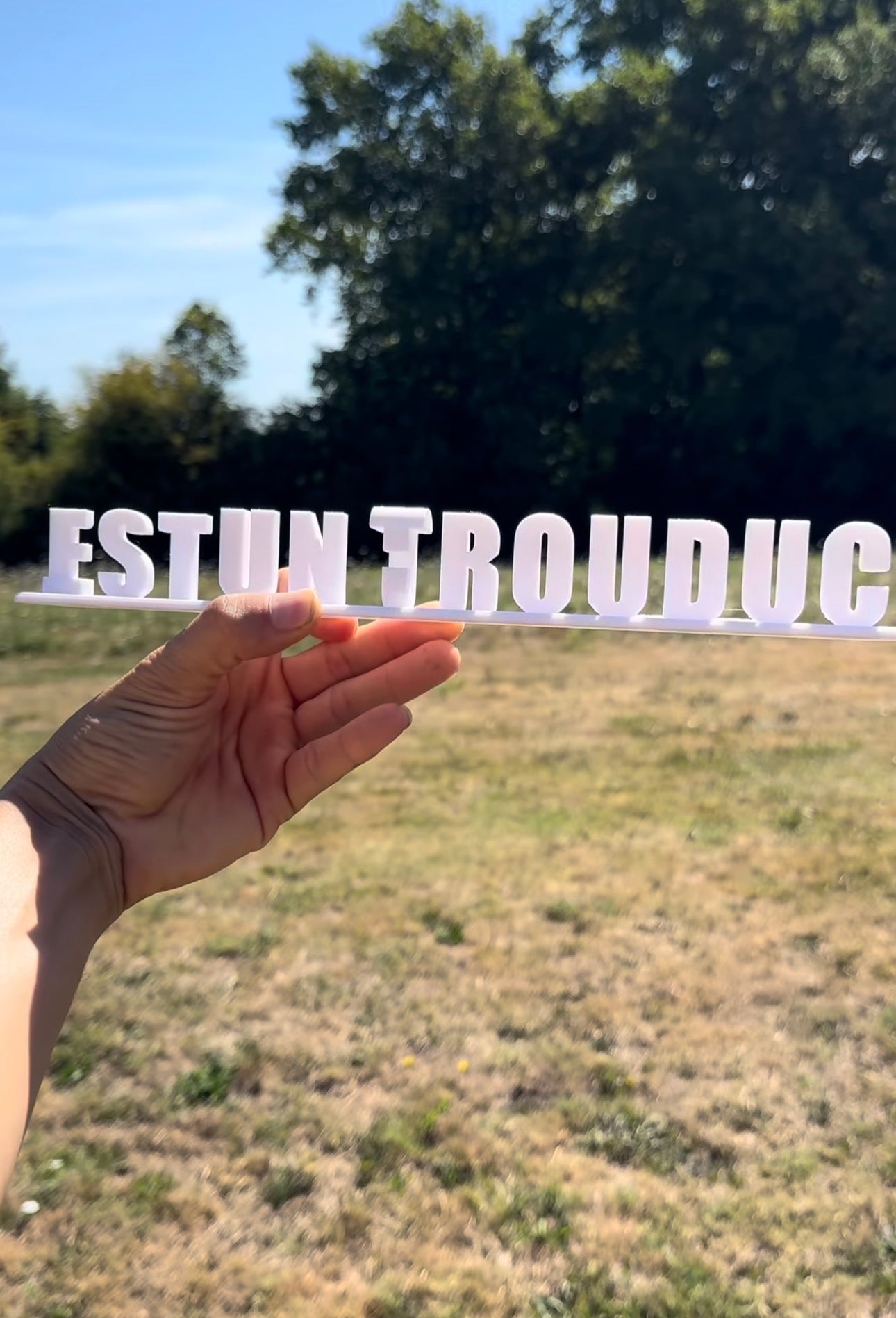 Fichier STL — luc est un trouduc v1