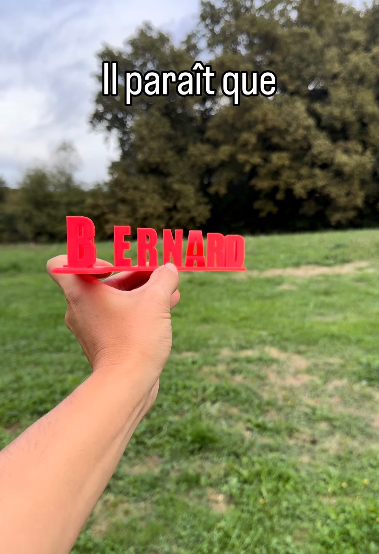 Fichier STL — bernard pompe les dards v1