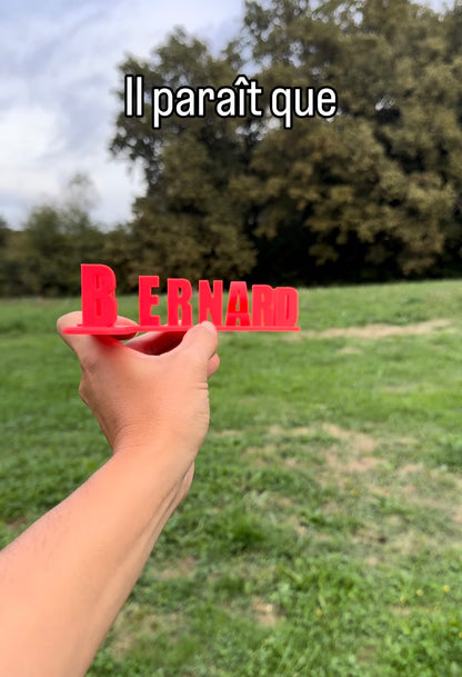 Fichier STL — bernard pompe les dards v1