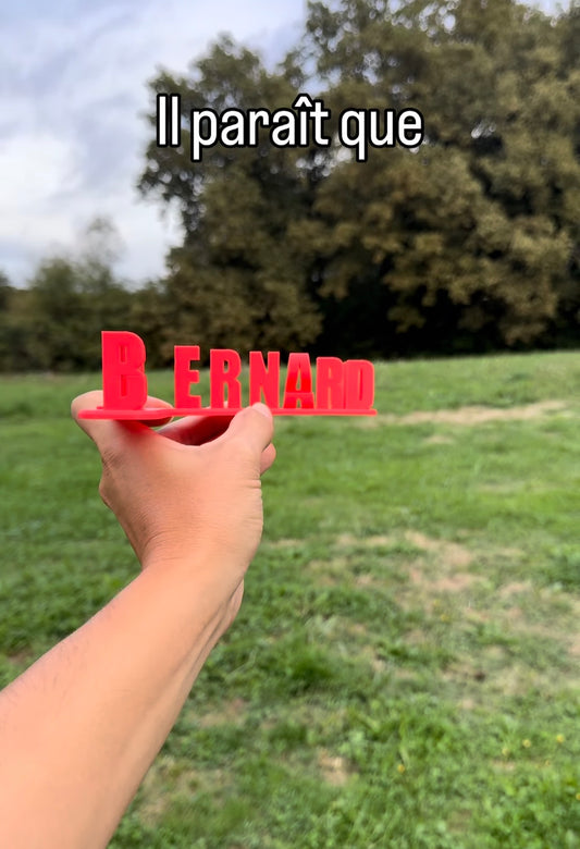 Fichier STL — bernard pompe les dards v1