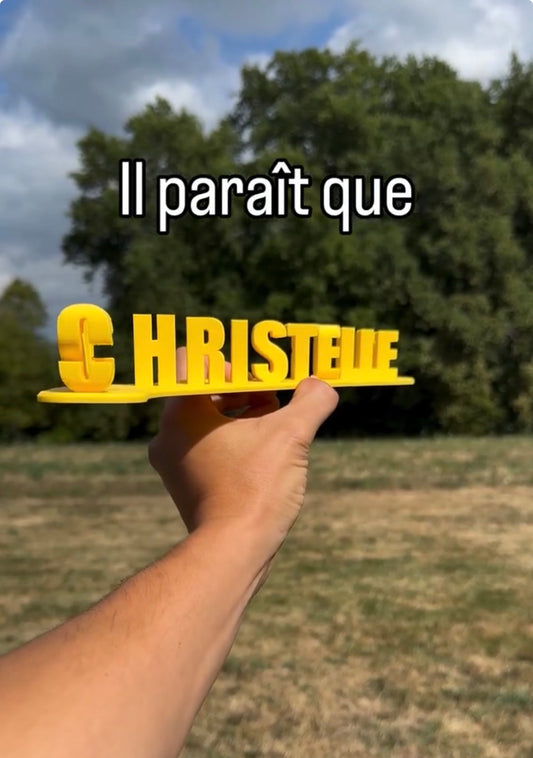 Fichier STL — christelle sue de la rondelle v1