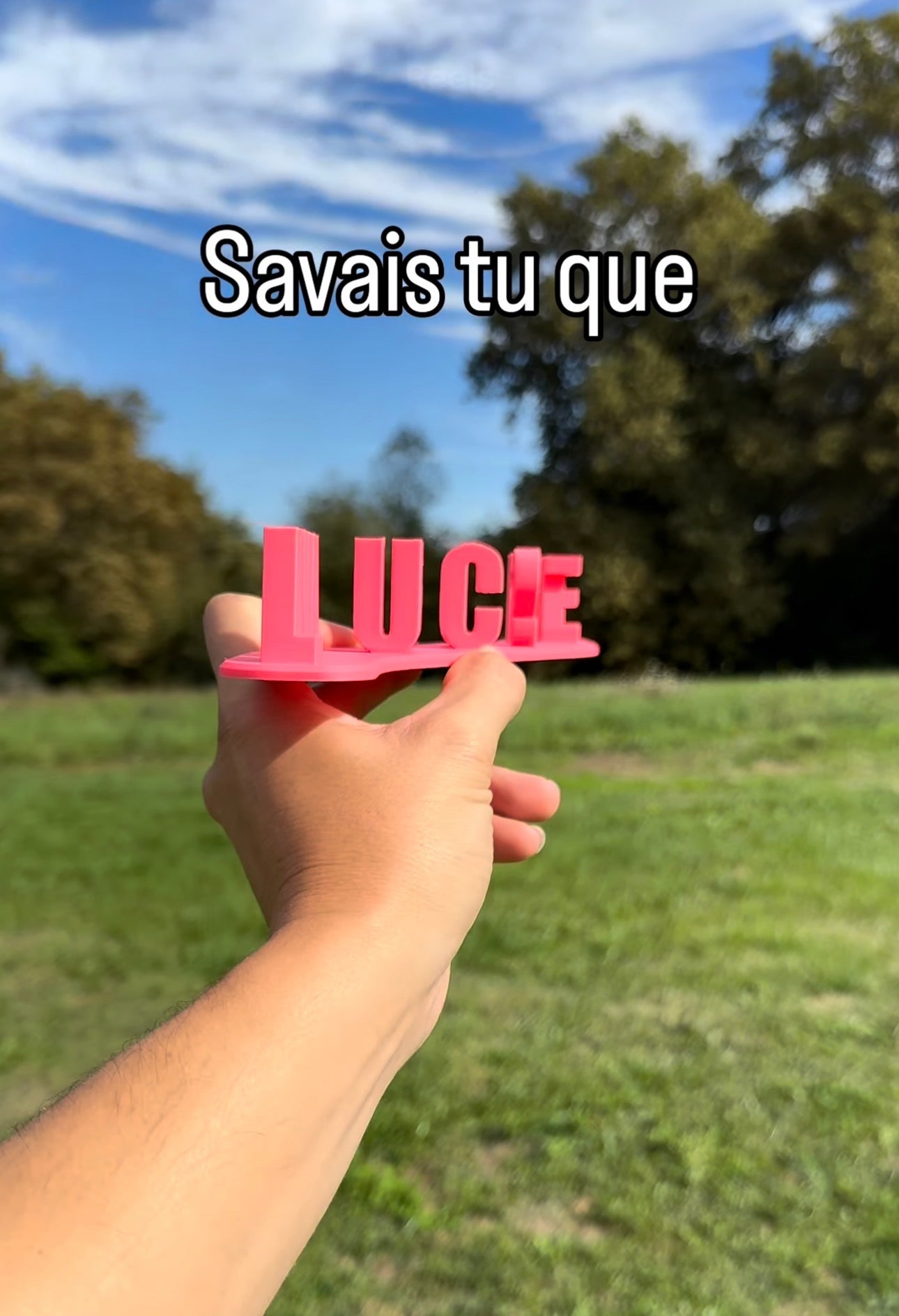Fichier STL — lucie avale les zizis v0