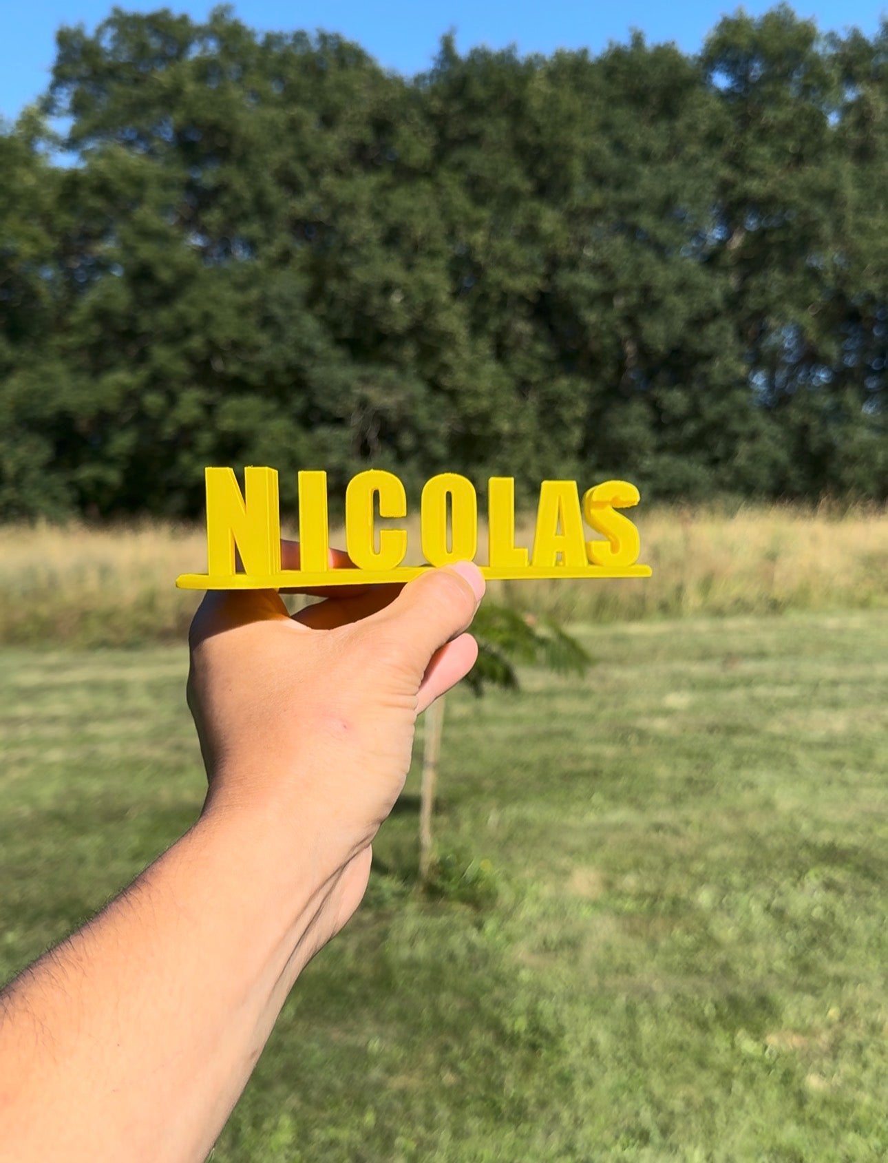 Nicolas Minibite 🫶