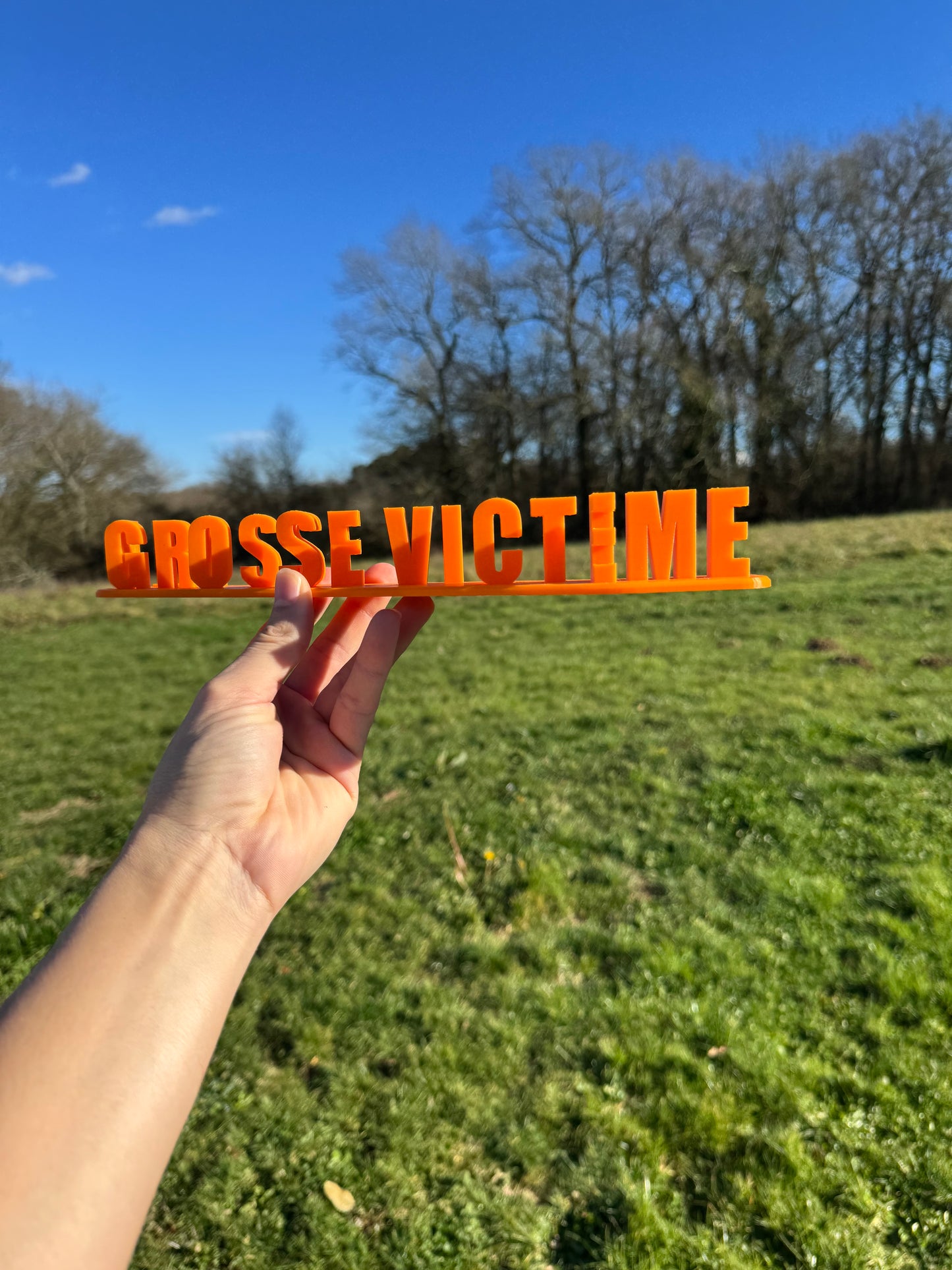 Fichier STL — maxime grosse victime v3