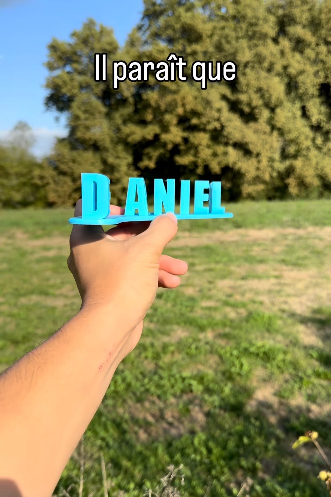 Fichier STL — daniel est precoce v1