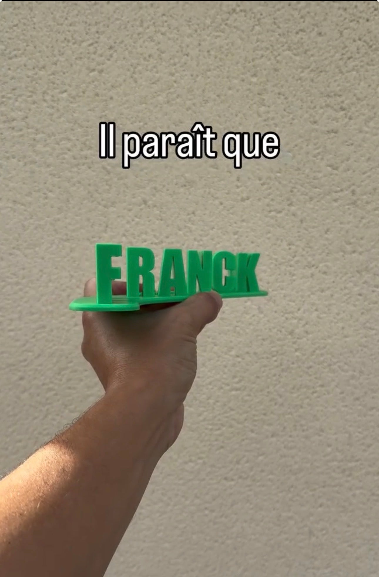 Fichier STL — franck est en manque v1