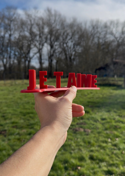 Je t’aime pour la vie ❤️