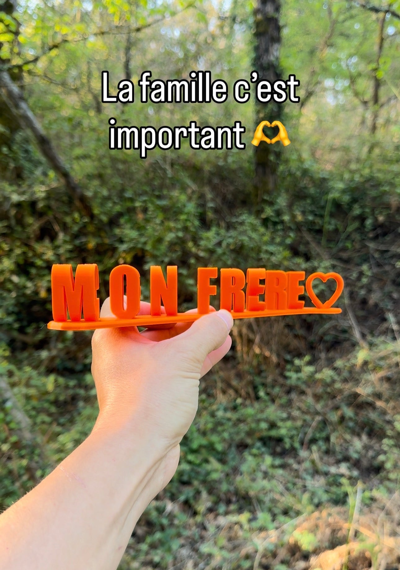 Mon frère ce gros nul 😎