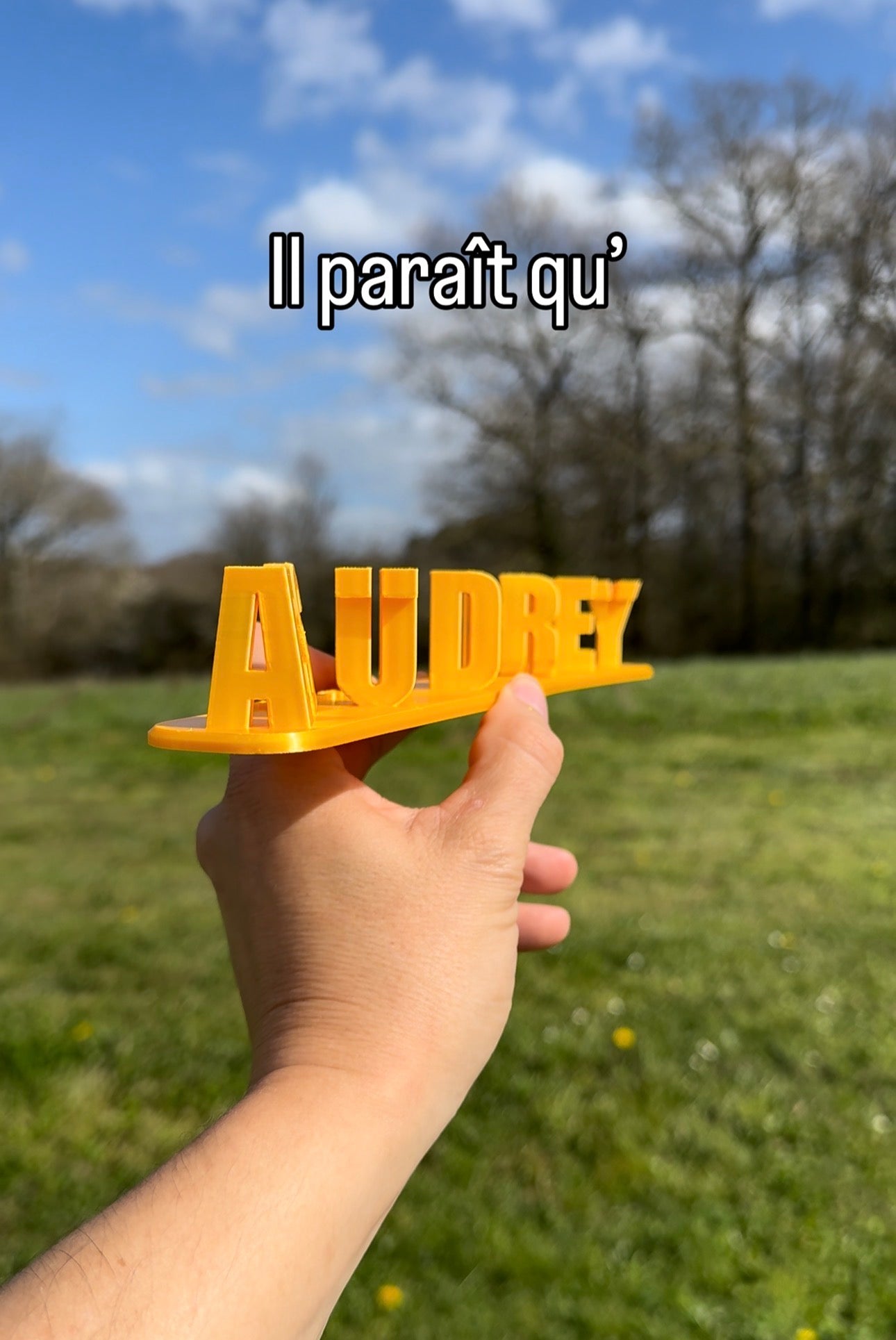 Fichier STL — audrey est un boulet