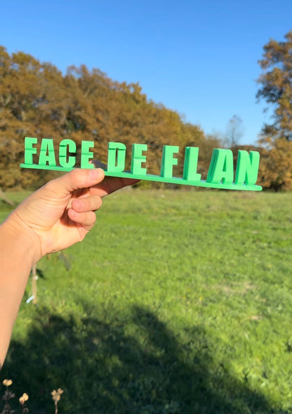 Fichier STL — bertrand face de flan v1