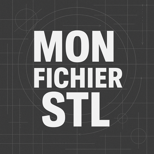 Fichier .stl Personnalisé