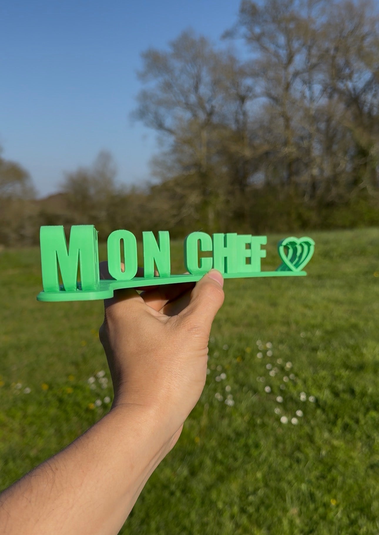 Mon chef cet incompétent 🤦